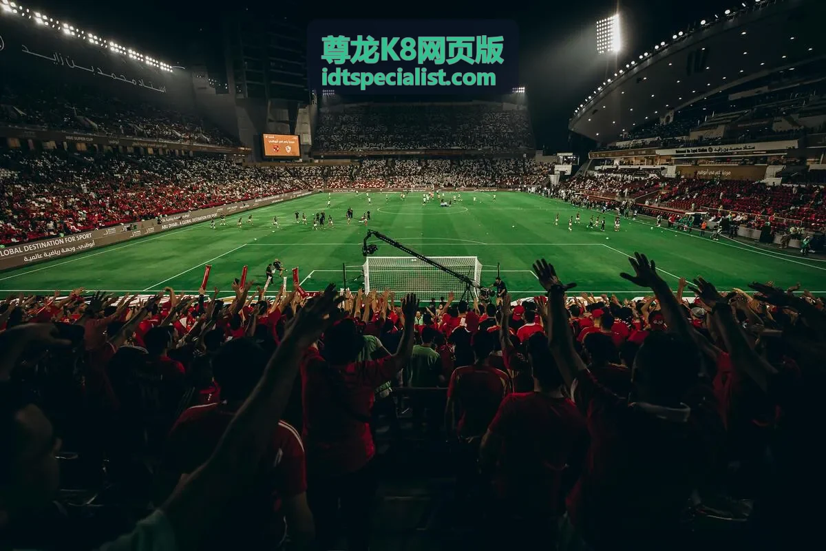 尊龙K8网页版访问速度与网络环境检测