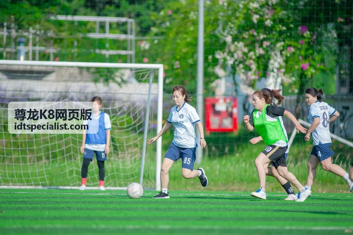 尊龙K8网页版使用指引与常见问题说明